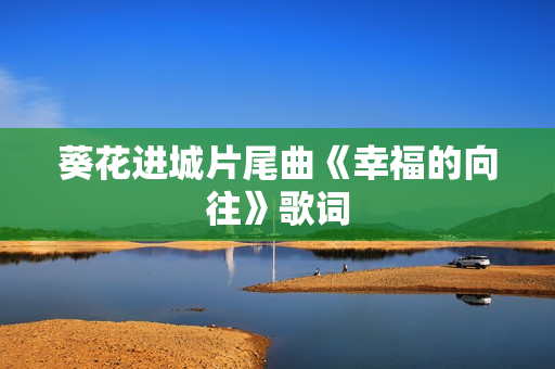葵花进城片尾曲《幸福的向往》歌词