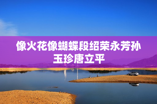 像火花像蝴蝶段绍荣永芳孙玉珍唐立平
