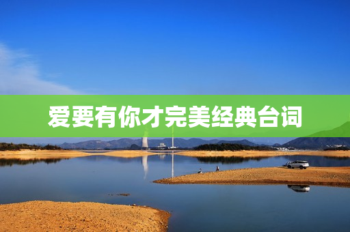 爱要有你才完美经典台词