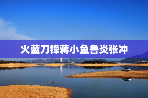 火蓝刀锋蒋小鱼鲁炎张冲