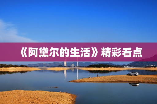 《阿黛尔的生活》精彩看点