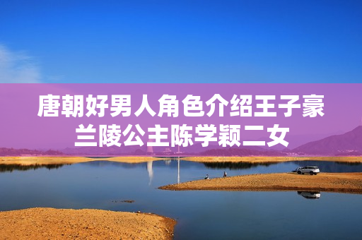 唐朝好男人角色介绍王子豪兰陵公主陈学颖二女