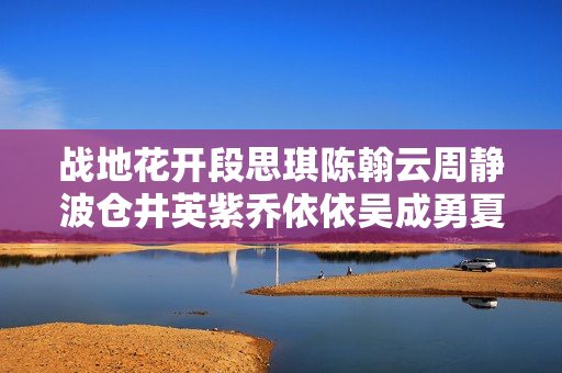 战地花开段思琪陈翰云周静波仓井英紫乔依依吴成勇夏志刚