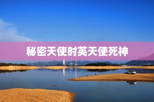 秘密天使时英天使死神