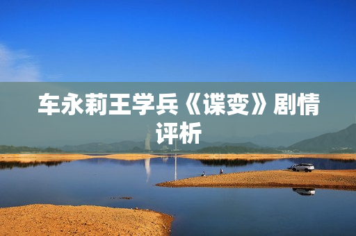 车永莉王学兵《谍变》剧情评析