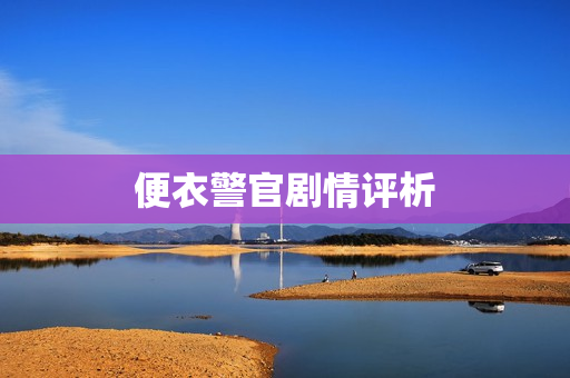 便衣警官剧情评析