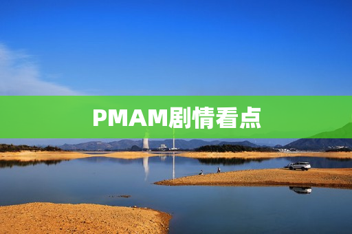 PMAM剧情看点