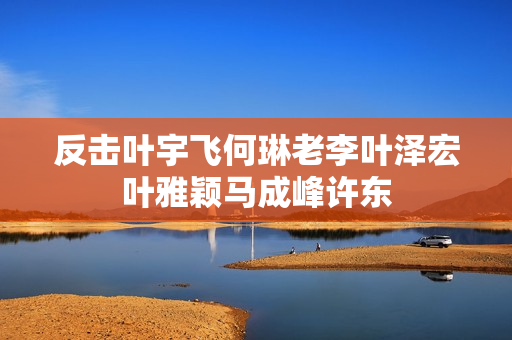 反击叶宇飞何琳老李叶泽宏叶雅颖马成峰许东