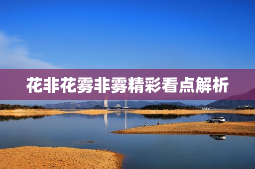 花非花雾非雾精彩看点解析