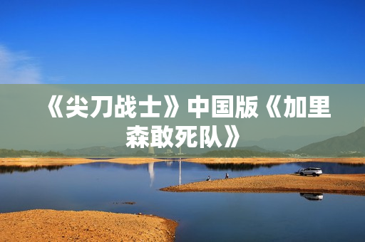 《尖刀战士》中国版《加里森敢死队》