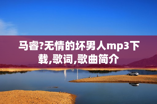 马睿?无情的坏男人mp3下载,歌词,歌曲简介