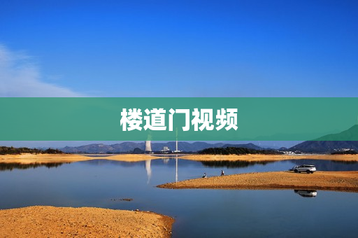 楼道门视频