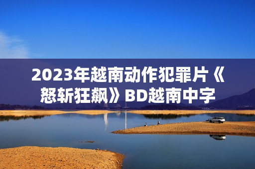 2023年越南动作犯罪片《怒斩狂飙》BD越南中字