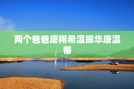 两个爸爸唐翔希温振华唐温蒂