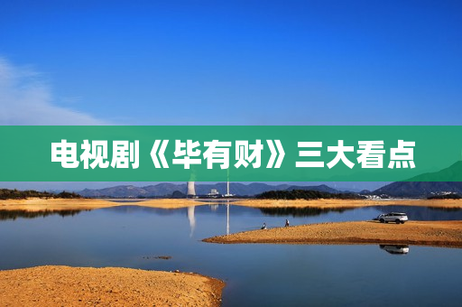 电视剧《毕有财》三大看点