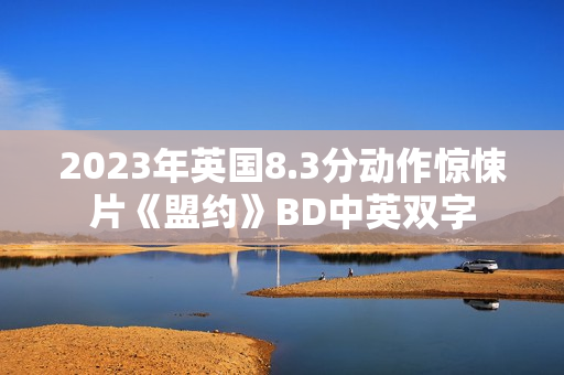 2023年英国8.3分动作惊悚片《盟约》BD中英双字