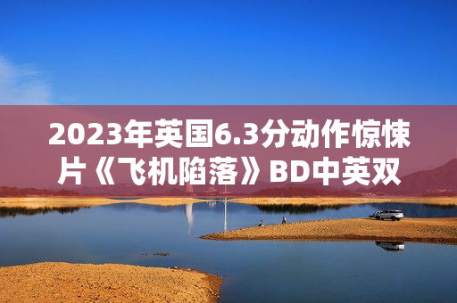 2023年英国6.3分动作惊悚片《飞机陷落》BD中英双字