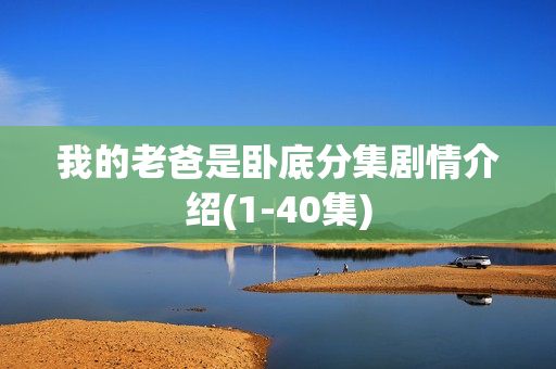 我的老爸是卧底分集剧情介绍(1-40集)