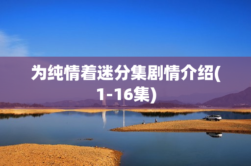 为纯情着迷分集剧情介绍(1-16集)