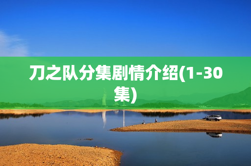 刀之队分集剧情介绍(1-30集)