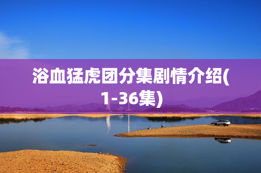 浴血猛虎团分集剧情介绍(1-36集)