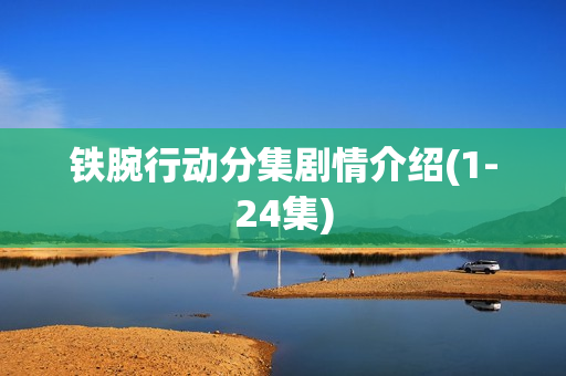 铁腕行动分集剧情介绍(1-24集)