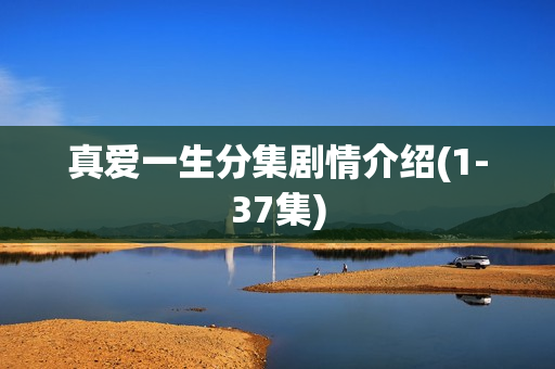 真爱一生分集剧情介绍(1-37集)