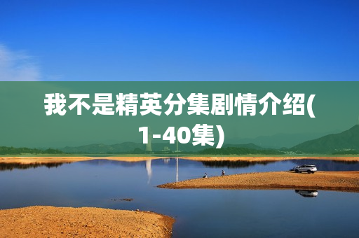 我不是精英分集剧情介绍(1-40集)