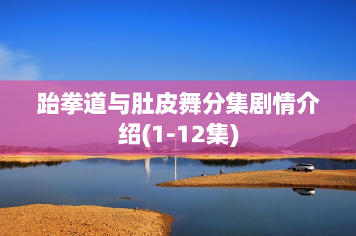 跆拳道与肚皮舞分集剧情介绍(1-12集)