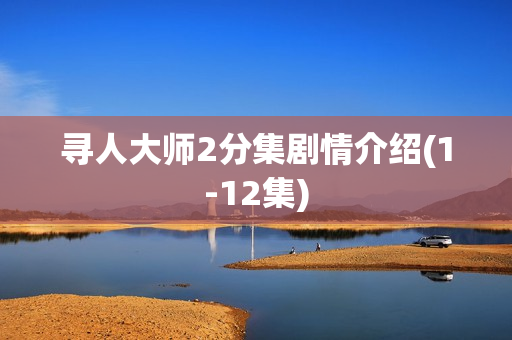 寻人大师2分集剧情介绍(1-12集)