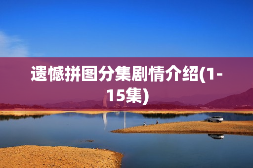 遗憾拼图分集剧情介绍(1-15集)