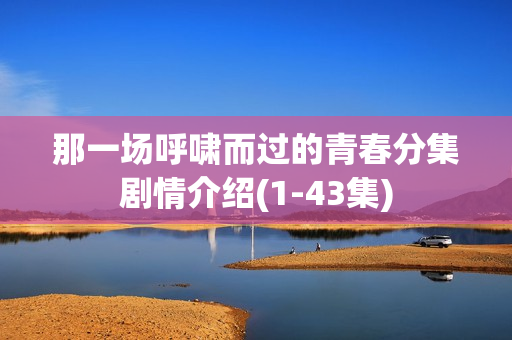 那一场呼啸而过的青春分集剧情介绍(1-43集)