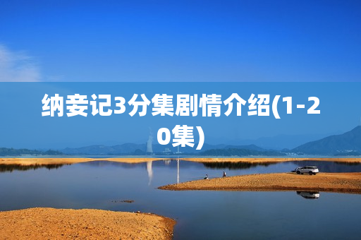 纳妾记3分集剧情介绍(1-20集)