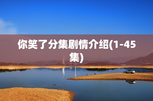 你笑了分集剧情介绍(1-45集)