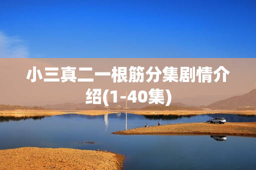 小三真二一根筋分集剧情介绍(1-40集)