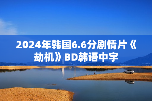 2024年韩国6.6分剧情片《劫机》BD韩语中字