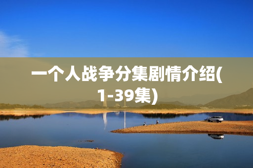 一个人战争分集剧情介绍(1-39集)