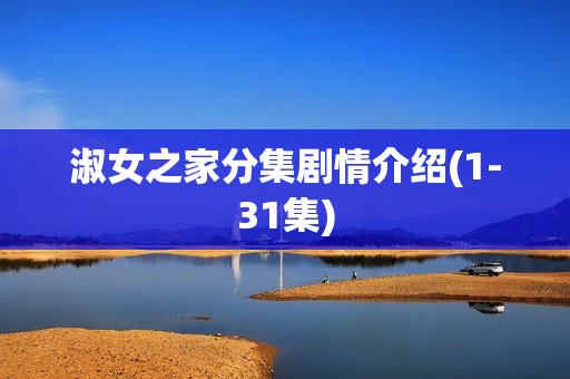 淑女之家分集剧情介绍(1-31集)