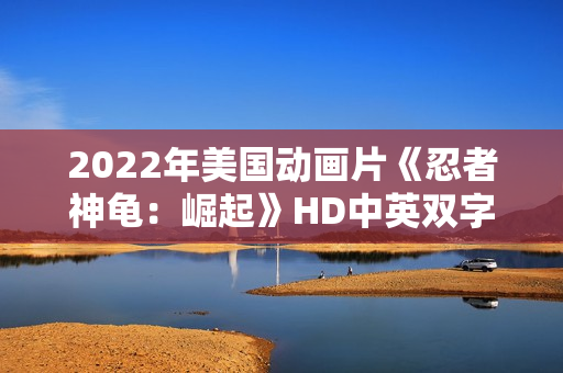 2022年美国动画片《忍者神龟：崛起》HD中英双字