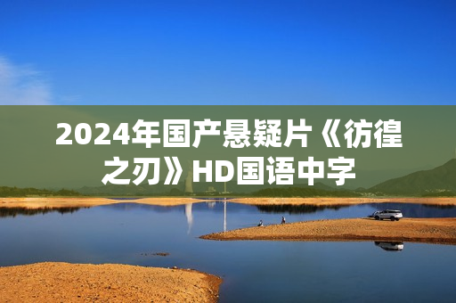 2024年国产悬疑片《彷徨之刃》HD国语中字