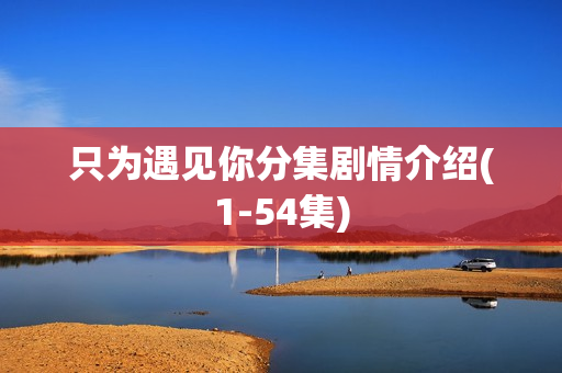 只为遇见你分集剧情介绍(1-54集)