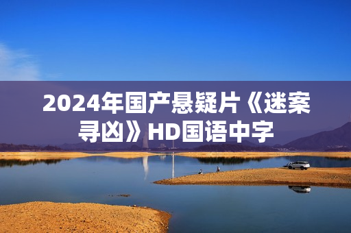 2024年国产悬疑片《迷案寻凶》HD国语中字