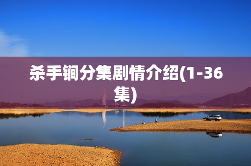 杀手锏分集剧情介绍(1-36集)