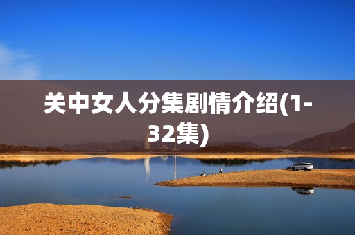 关中女人分集剧情介绍(1-32集)