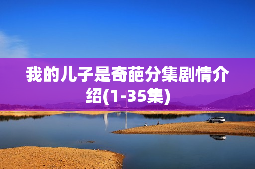 我的儿子是奇葩分集剧情介绍(1-35集)