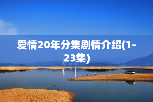 爱情20年分集剧情介绍(1-23集)