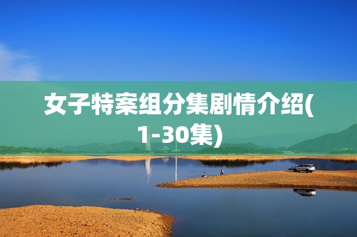 女子特案组分集剧情介绍(1-30集)