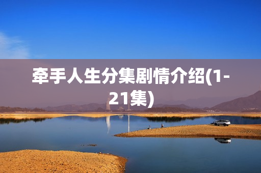 牵手人生分集剧情介绍(1-21集)