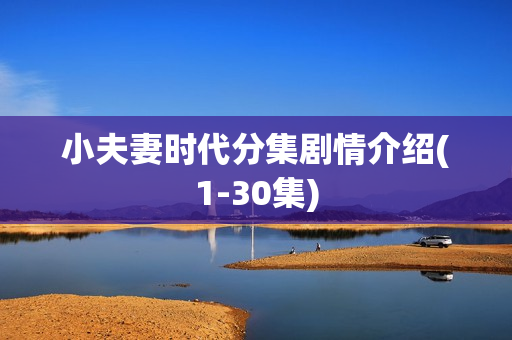 小夫妻时代分集剧情介绍(1-30集)