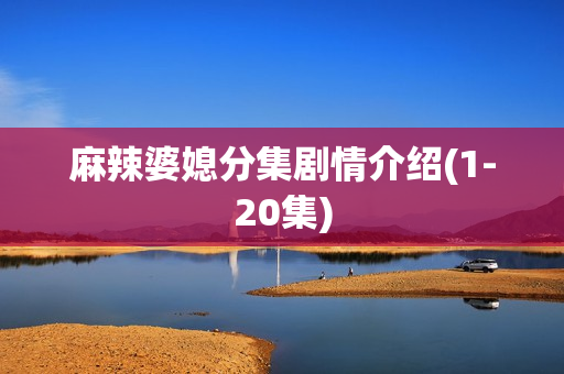 麻辣婆媳分集剧情介绍(1-20集)